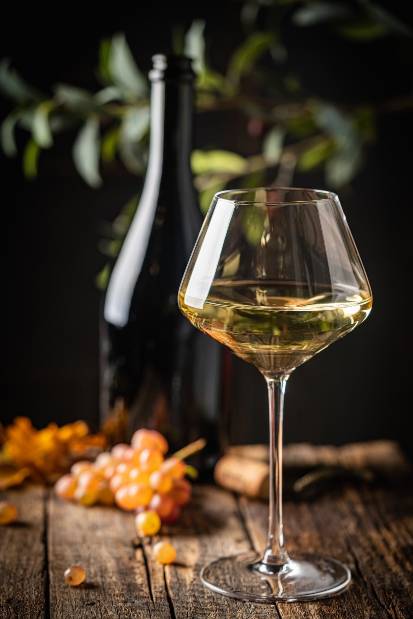White wine in a glass